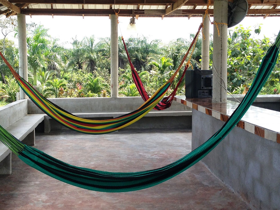 Super Palm Relaxing in hammocks Area.jpg