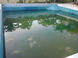 Super Palm Swimming pool