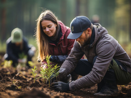 A Year in Review: Environmental Milestones and New Year Resolutions