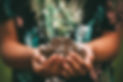 AdobeStock_223201543.jpeg