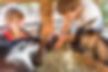 AdobeStock_72746763.jpeg