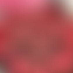 Spring Sugar Cookies