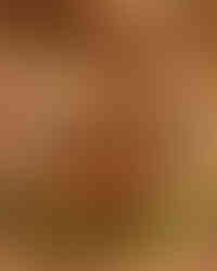 Gravy being picked up in a spoon