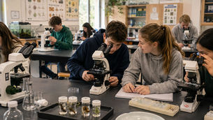 Scienze sperimentali a scuola: perché l'osservazione condivisa fa la differenza