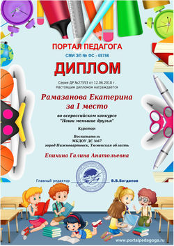 Диплом Рамазанова