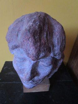 Kop jonge vrouw bovenkant