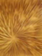 I fuochi del Redentore