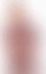 la-malle-de-lux-vilagallo-1