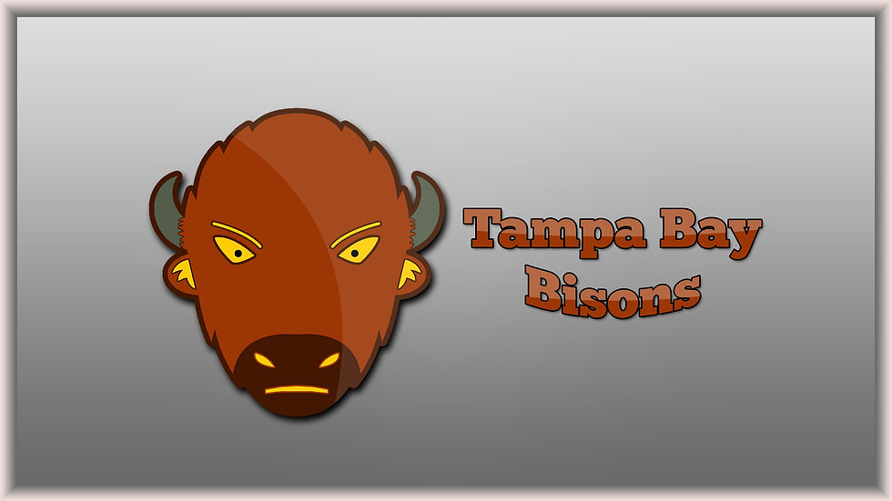 Bisons Wallpaper 1.jpg