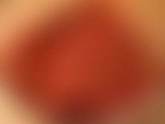 INSPIRATION Á LA HÄLSOSAMMA HAMBURGARE