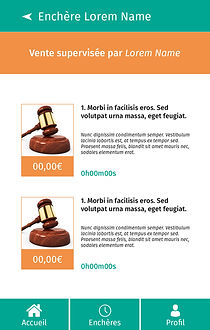 Application mobile gostore