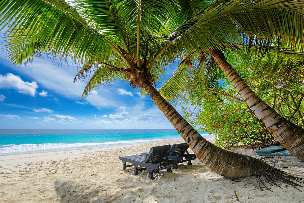 Island Beach Party