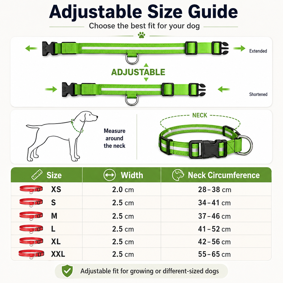 Thumbnail: Pawmere NightGlow Safety Collar