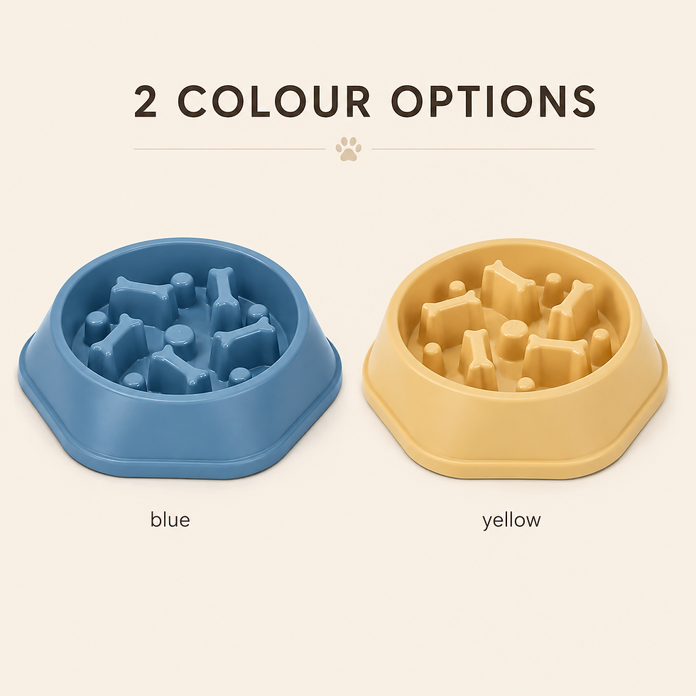 Thumbnail: Pawmere Slow Feeder Bowl