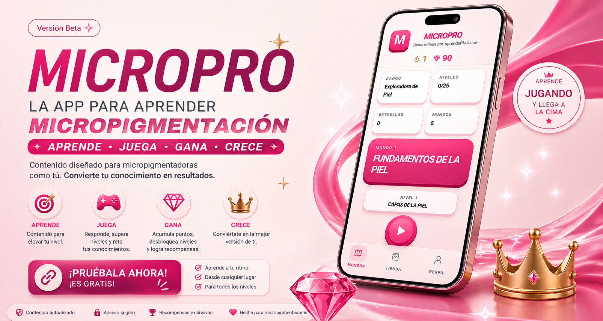 Micropro F Micropro App | Aprende Microblading