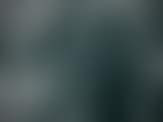 Building Power in 2025, Looking Ahead to 2026 