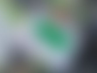 The Oregon Labor Dispatch: June 27, 2024