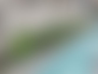 ≪夏野菜の栽培(5)≫