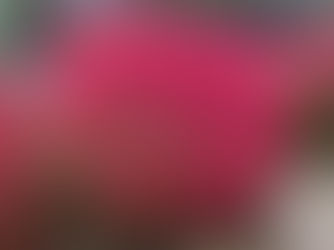 研修委員会主催「バス見学研修会」