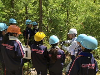 20190523-115104-9823.jpg