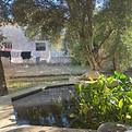 IMG_6205.jpeg