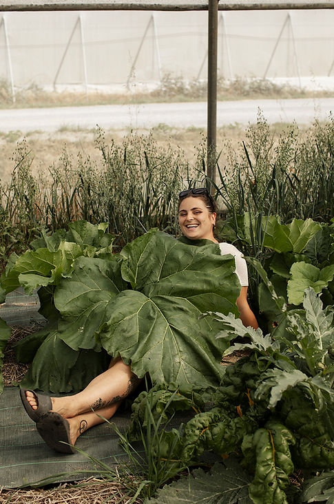 Alice Menard, maraichère à Saint-Julien-de-Concelles, près de Nantes, dans ses serres maraichères. 