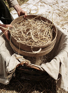 Samuel Lewis trie du blé à la main chez lui en Bretagne, pour livre La Vie Simple, editions ulmer