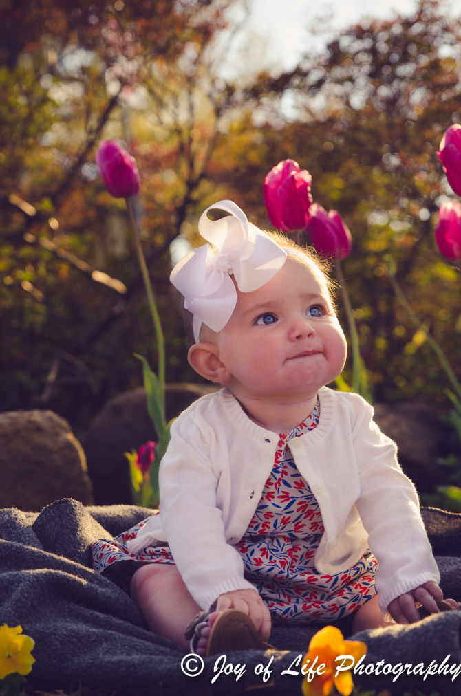 Spring has Sprung