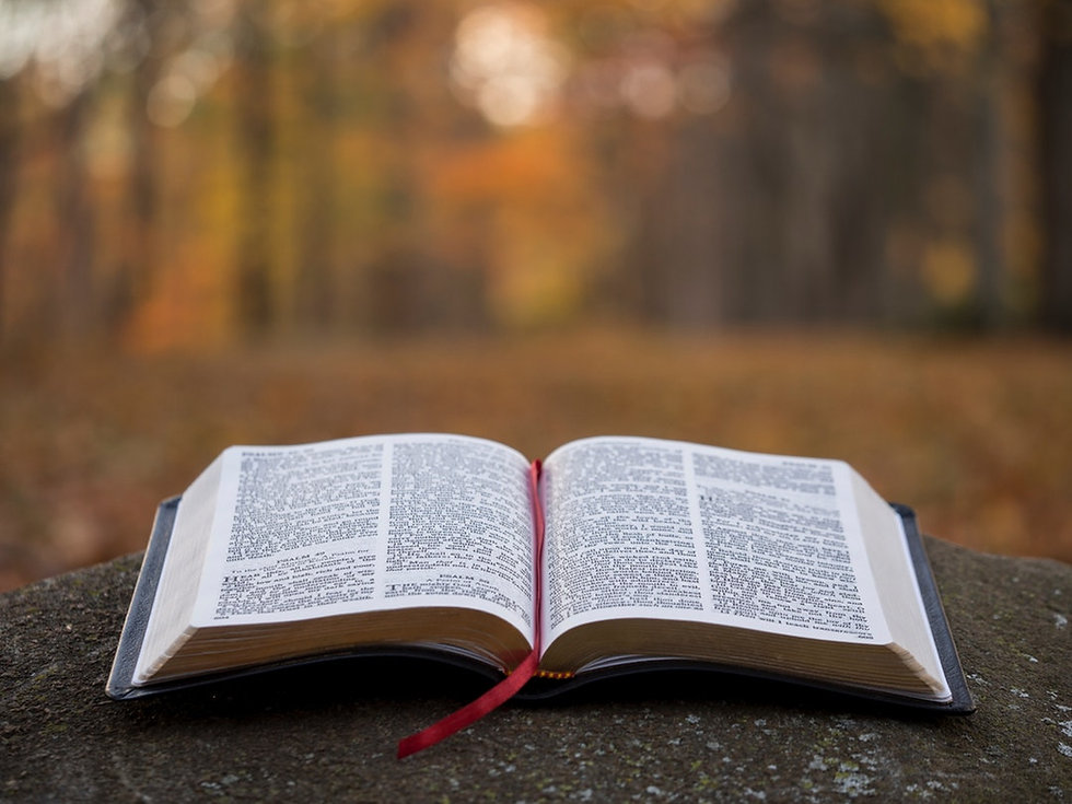 open bible on rock.jpeg