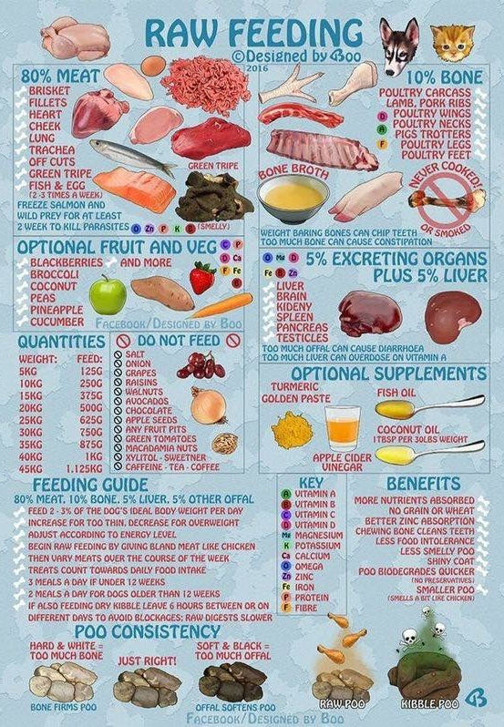Raw Feeding for your Dog