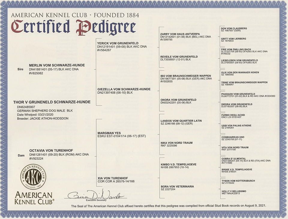 THORS PEDIGREE_edited.jpg