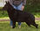 Yerick_stack2-21-13-200dpi.jpg