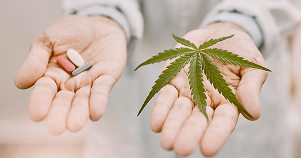 Hands offering a choice: left hand with colorful pills, right hand with a green cannabis leaf, over a neutral background.