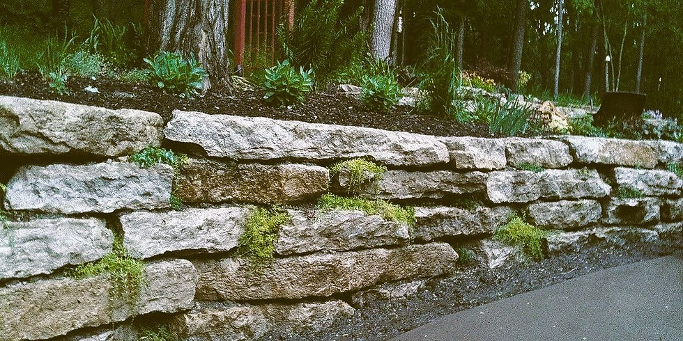 Stone wall with green moss and plants, set amidst a wooded area. Red fence visible behind. Calm, natural outdoor setting.
