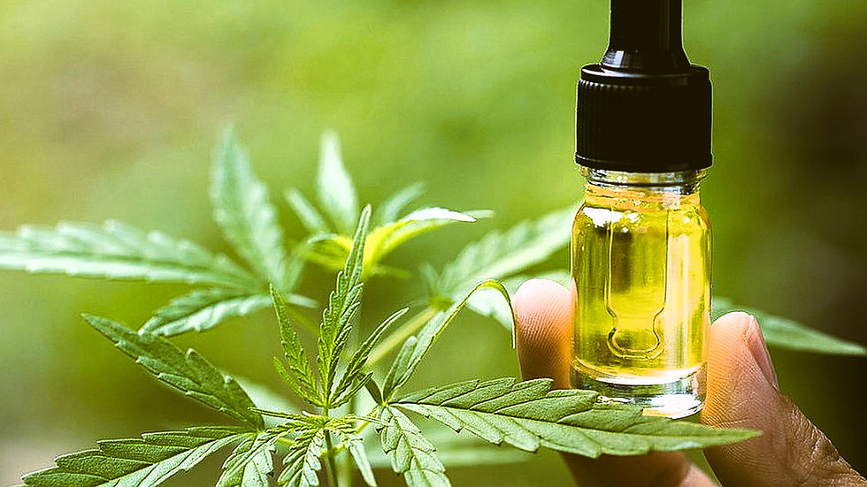 Hand holding a small vial of yellow oil next to a green cannabis leaf, set against a blurred green background.