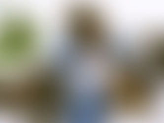 Cannabis for Older Pets Mobility and Pain Relief Solutions