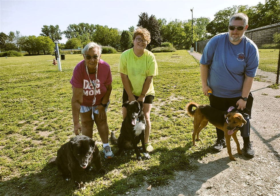 Three people smiling with dogs in a sunny park. One wears a "DOG MOM" shirt. Grass, trees, and path in the background. Relaxed mood.