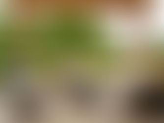 Concrete Patio Vs Deck Discover the Best Choice