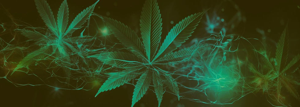 Green cannabis leaves with glowing electric lines on a dark background, creating a vibrant and energetic mood.