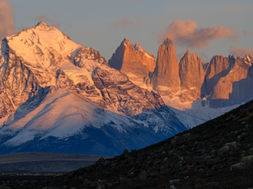 OFFICIAL STATEMENT: Commitment to Wildlife