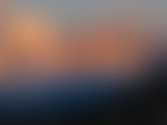 OFFICIAL STATEMENT: Commitment to Wildlife