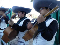 Mariachi Gavilanes Argentina