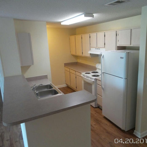 large (2)_edited.jpg