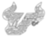 bulls word cloud 2 copy.jpg