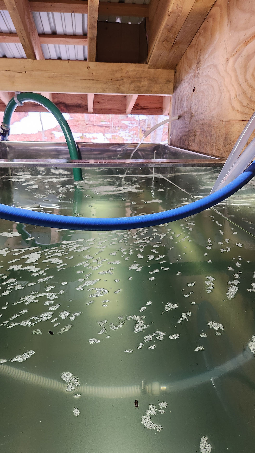 Lots of full sap tanks this year