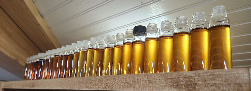 Samples of the season from beginning to end