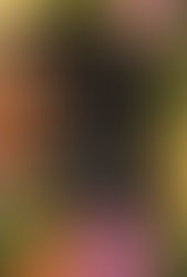 "Violeta" | Reviewed by Pat Sainz