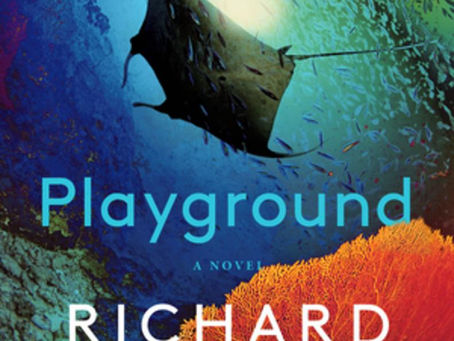 "Playground" | Reviewed by William Winkler
