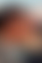 "Our American Friend" | Reviewed by Bill Schwab