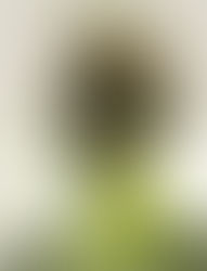 "Remote Control," | Reviewed by Nelson Appell